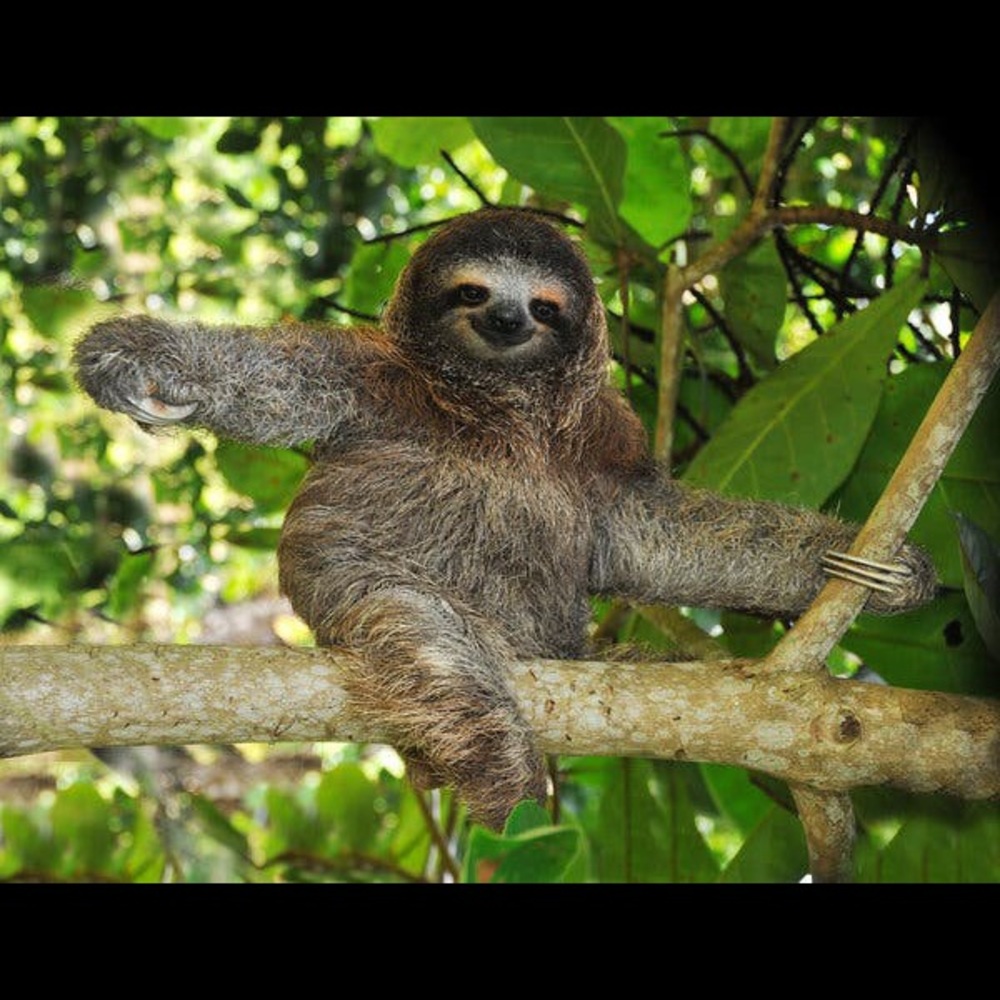 Meet your Posher, Jenna